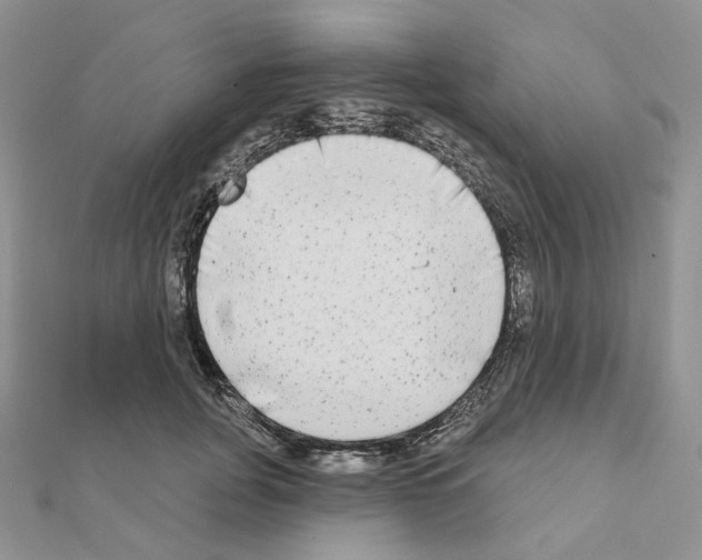 X0000111000751200907311031