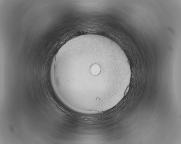 X0000111000752200907311031