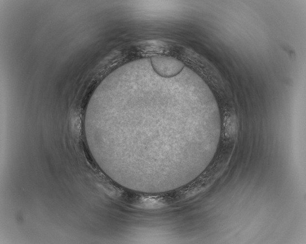 X0000111000753200907311031