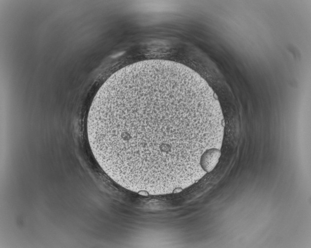 X0000111000755200907311031