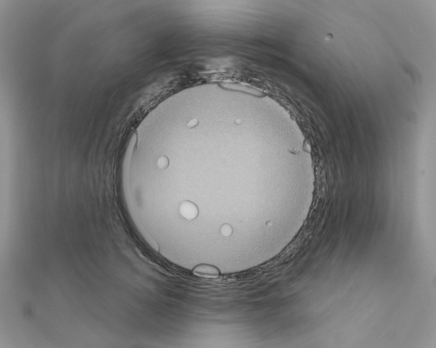 X0000111000756200907311031