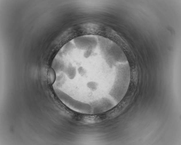 X0000111000757200907311031