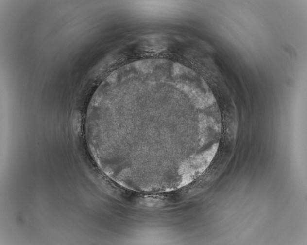 X0000111000758200907311031