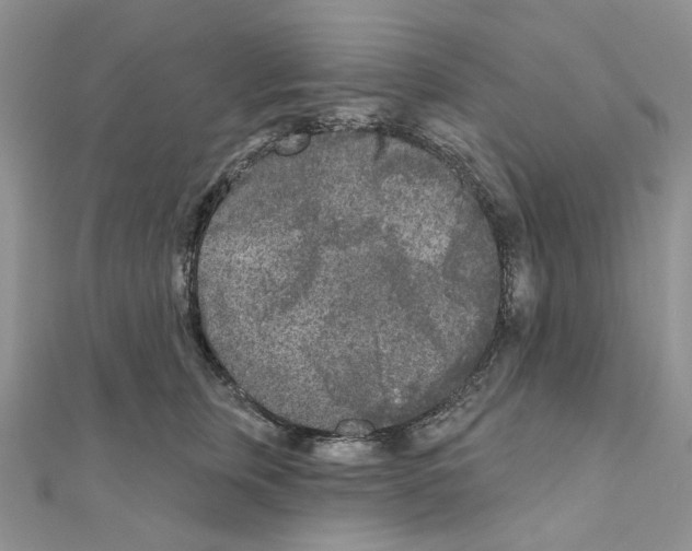 X0000111000759200907311031