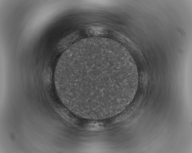 X0000111000760200907311031