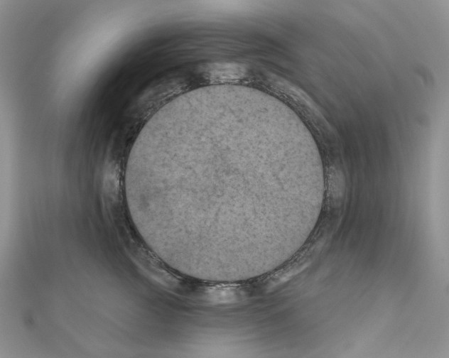 X0000111000761200907311031