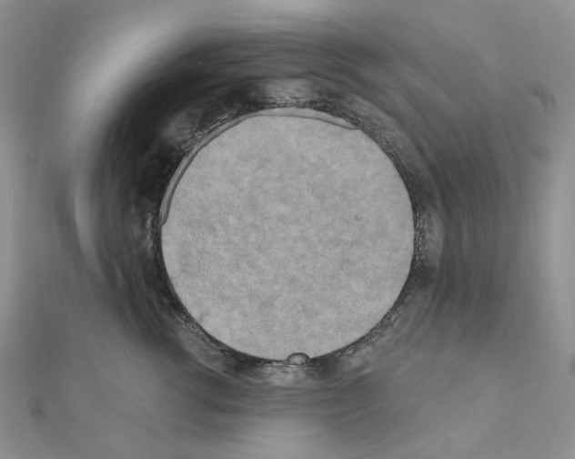 X0000111000762200907311031