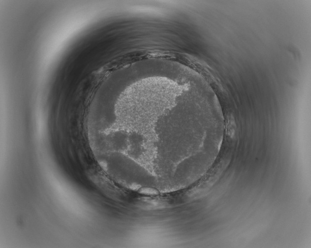 X0000111000763200907311031