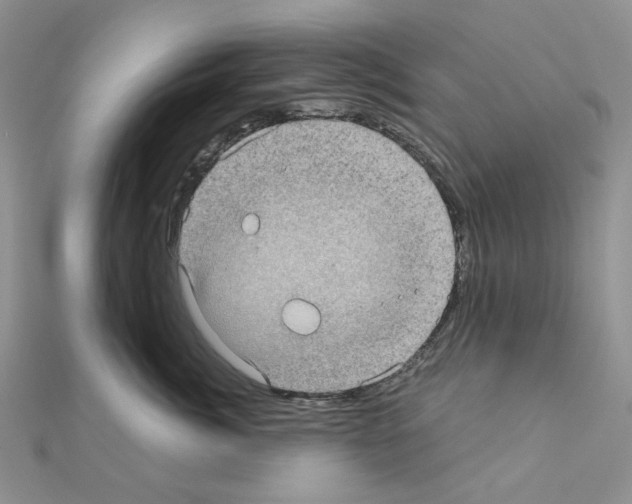 X0000111000764200907311031