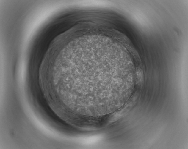 X0000111000765200907311031