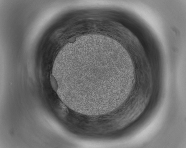 X0000111000766200907311031