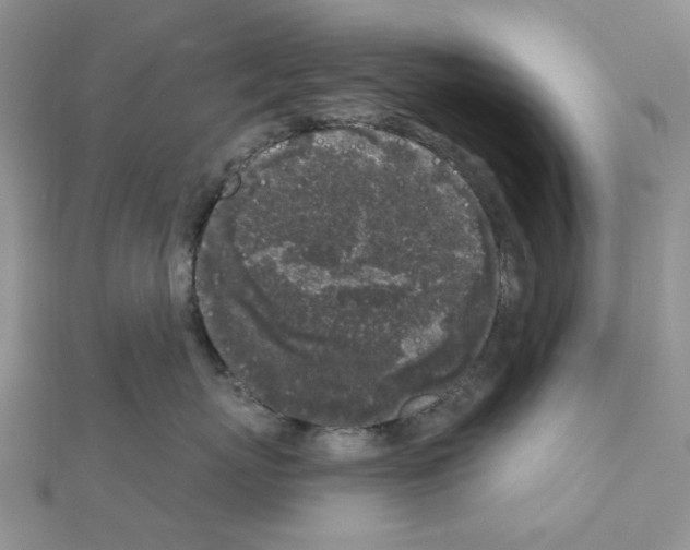 X0000111000767200907311031