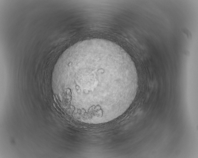 X0000111000769200907311030