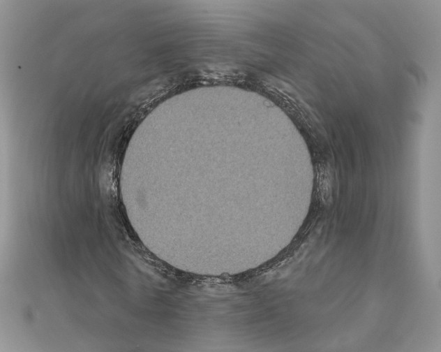 X0000111000770200907311030