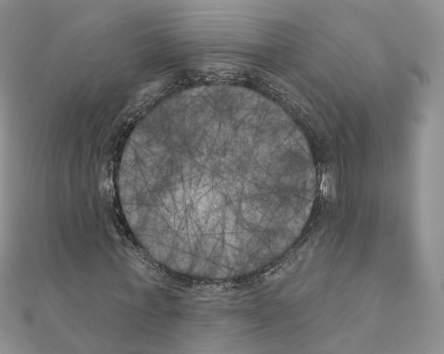 X0000111000771200907311030