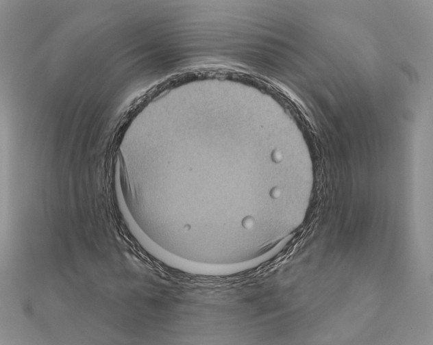 X0000111000775200907311030