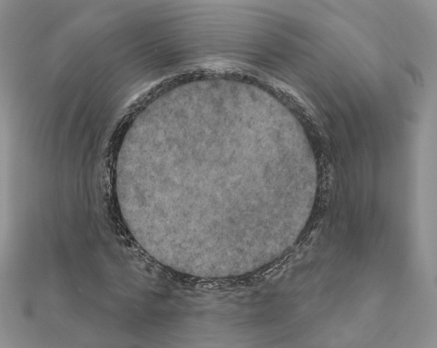 X0000111000776200907311030