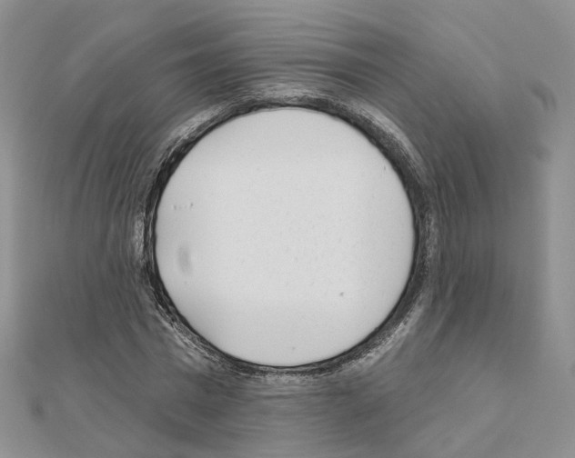 X0000111000777200907311030