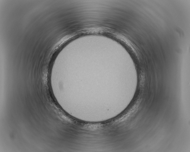 X0000111000778200907311030