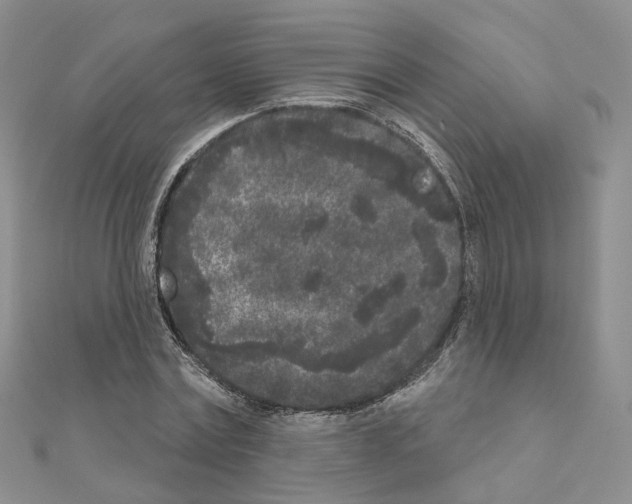 X0000111000779200907311030