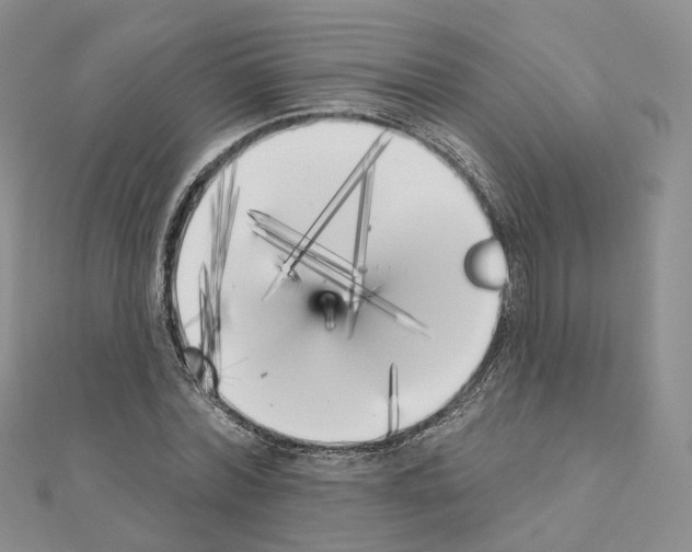 X0000111000780200907311030