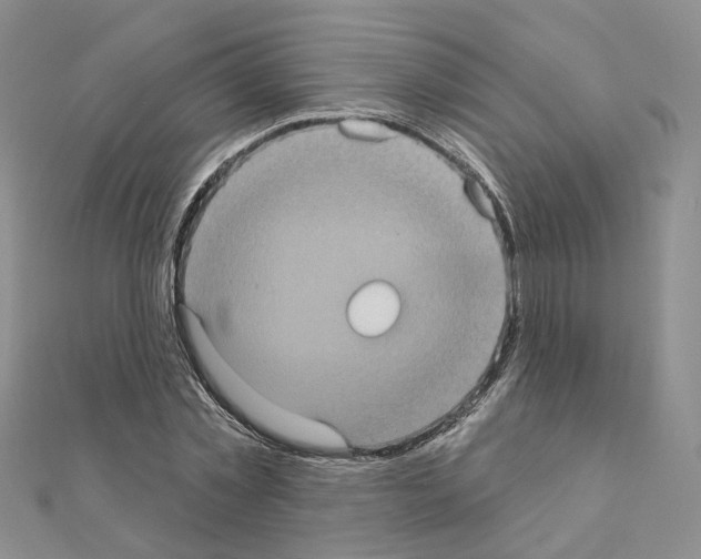 X0000111000781200907311030