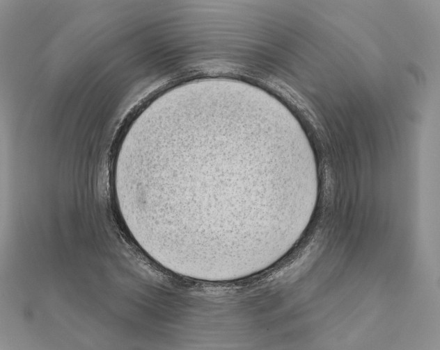 X0000111000782200907311030