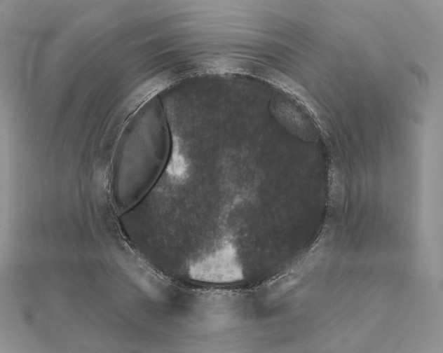 X0000111000785200907311030