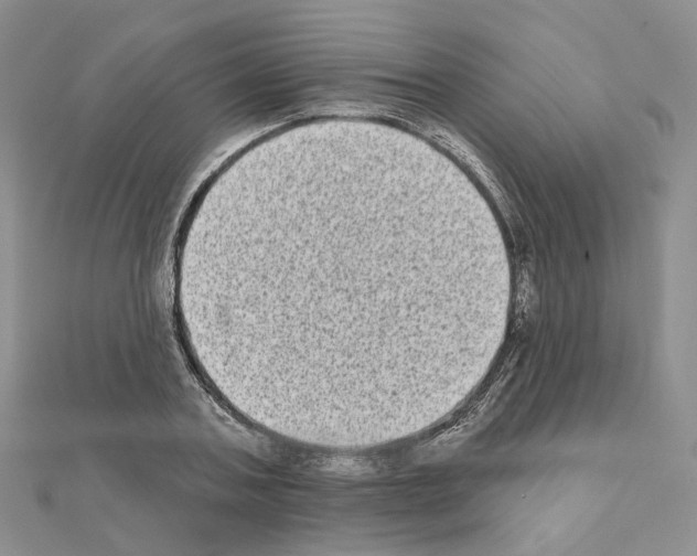 X0000111000787200907311030