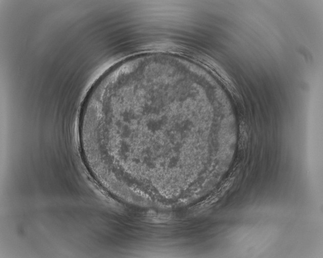 X0000111000788200907311030