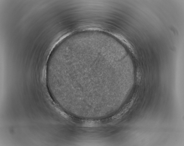 X0000111000790200907311030