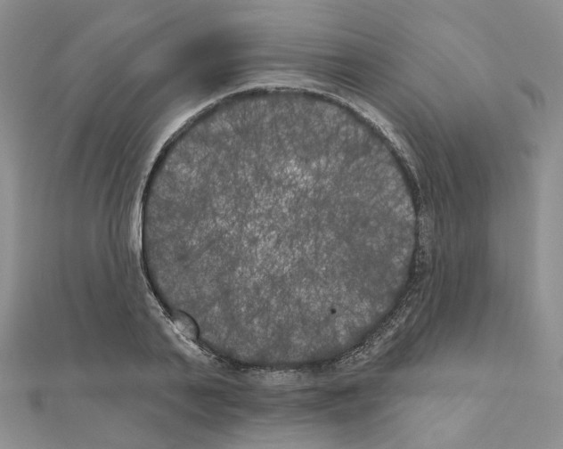 X0000111000791200907311030