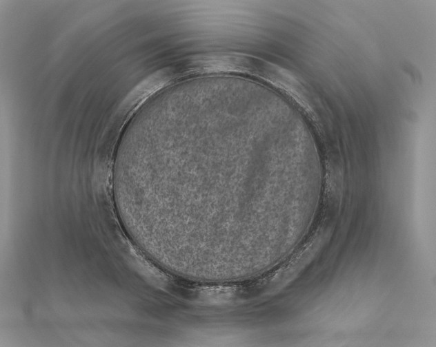 X0000111000793200907311030