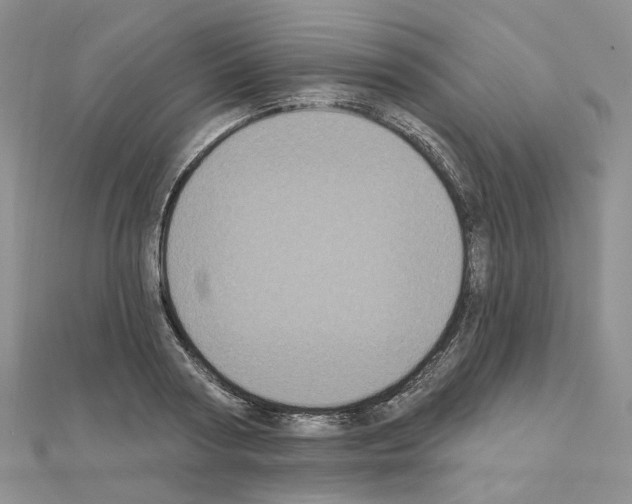 X0000111000794200907311030