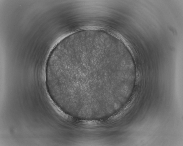 X0000111000795200907311030