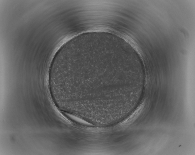 X0000111000797200907311030