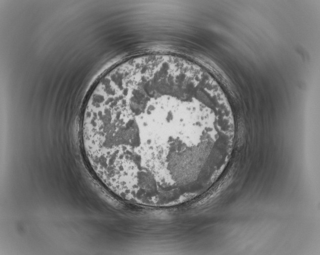 X0000111000798200907311030