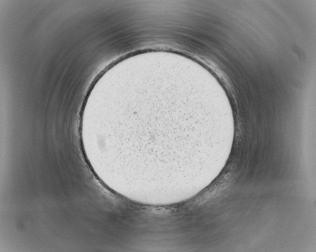 X0000111000799200907311030