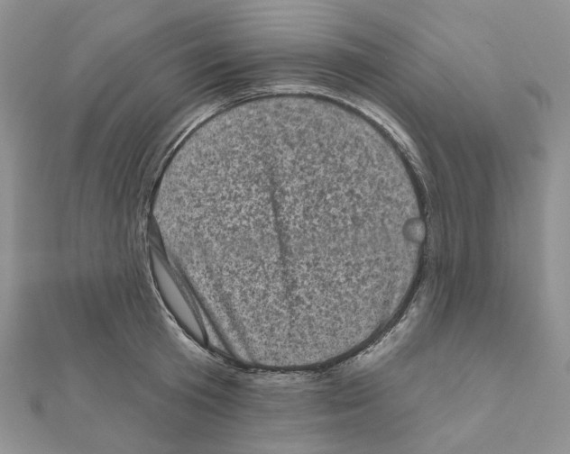 X0000111000801200907311030