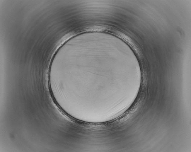 X0000111000802200907311030