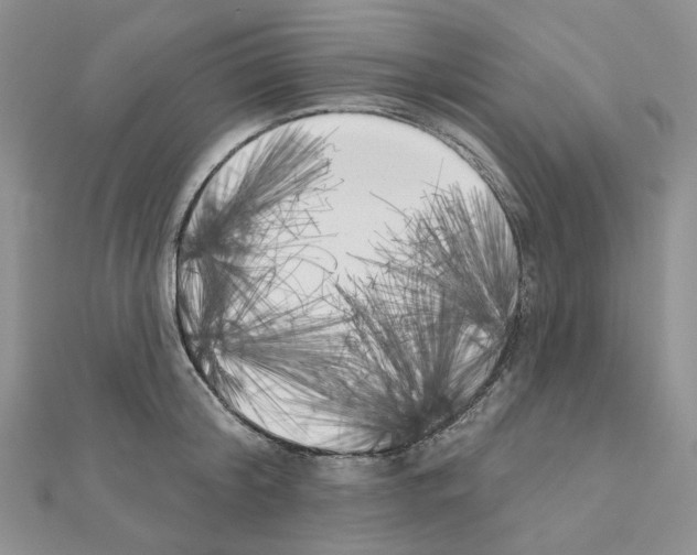 X0000111000804200907311030