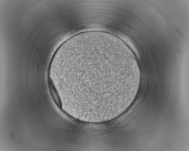 X0000111000805200907311030