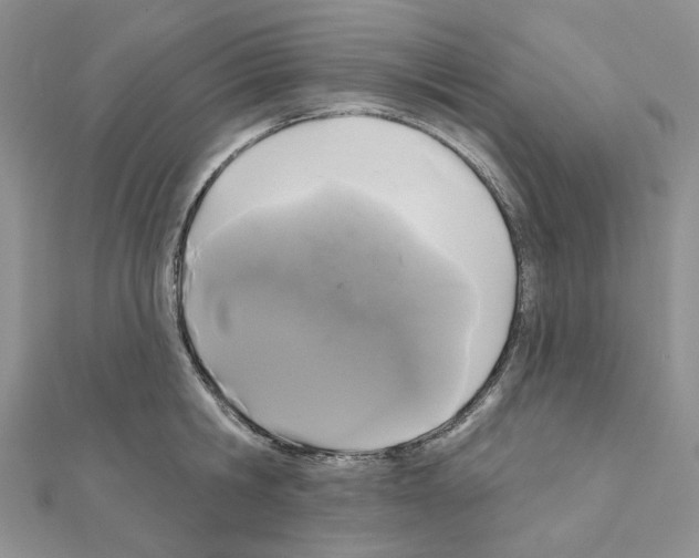 X0000111000806200907311030