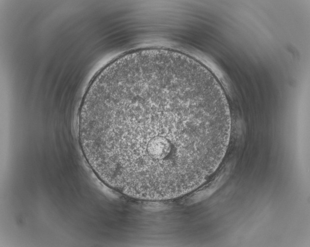 X0000111000807200907311030