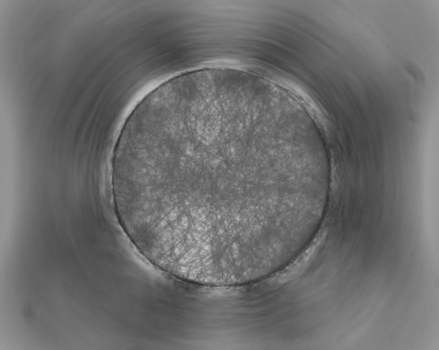 X0000111000808200907311030