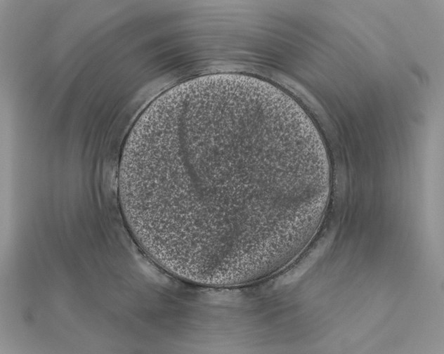 X0000111000809200907311030