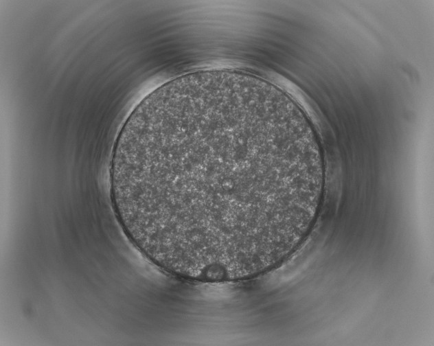 X0000111000810200907311030