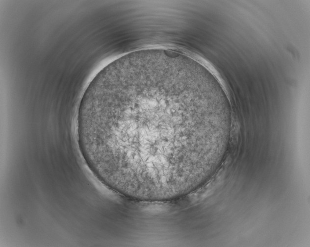 X0000111000811200907311030