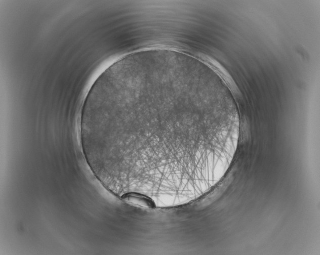 X0000111000812200907311030