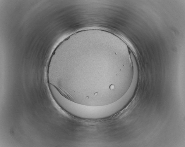 X0000111000813200907311030